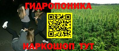 крисы Бердск