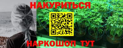 крисы Бердск