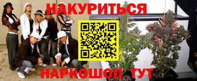крисы Бердск