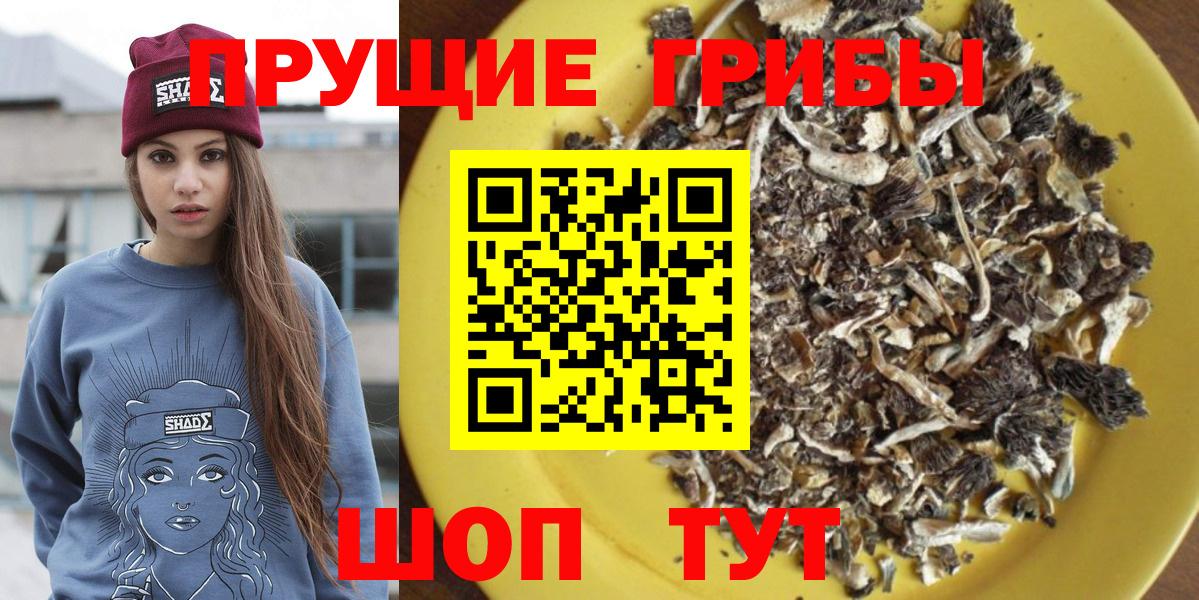 Галлюциногенные грибы Psilocybe Джанкой
