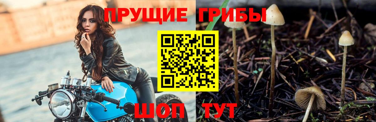 Джанкой  Галлюциногенные грибы мицелий  наркотики  Вход с VPN 